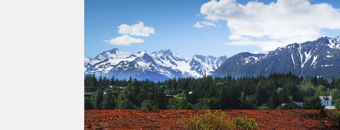 02_alaska_fpo-product-header.jpg.jpg