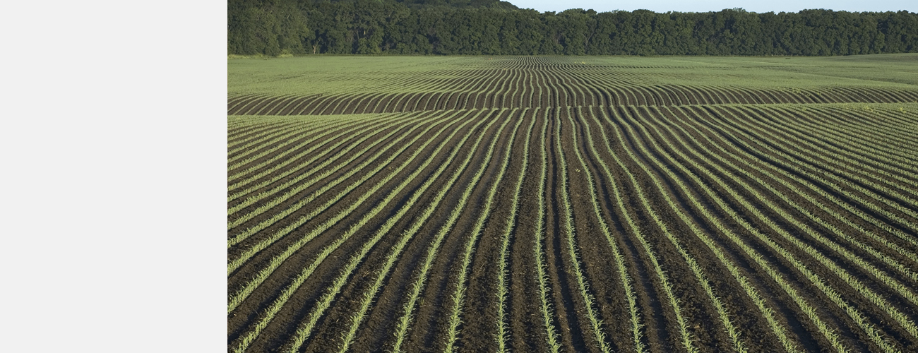 15_Iowa_fpo-product-header.jpg