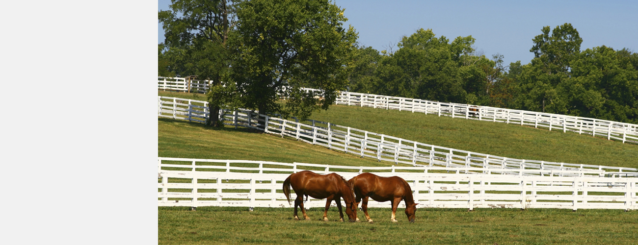 17_Kentucky_fpo-product-header.jpg